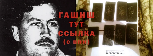 молекула духа Арсеньев
