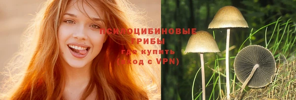 индика Армянск