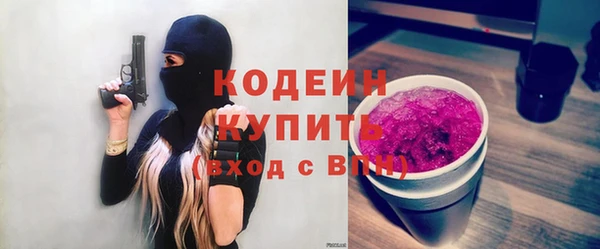 молекула духа Арсеньев