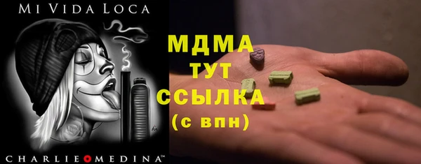 молекула духа Арсеньев
