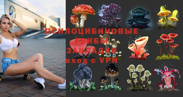 молекула духа Арсеньев