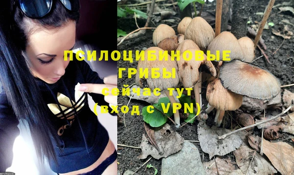 индика Армянск