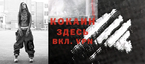 молекула духа Арсеньев