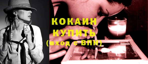 молекула духа Арсеньев