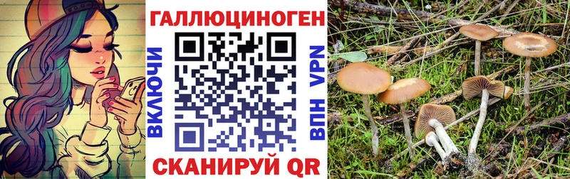 Псилоцибиновые грибы ЛСД Бабаево